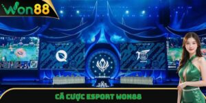 Cá Cược Esport - Sân Giải Trí Thể Thao Nổi Bật Nhất Won88 1 Cá cược Esport
