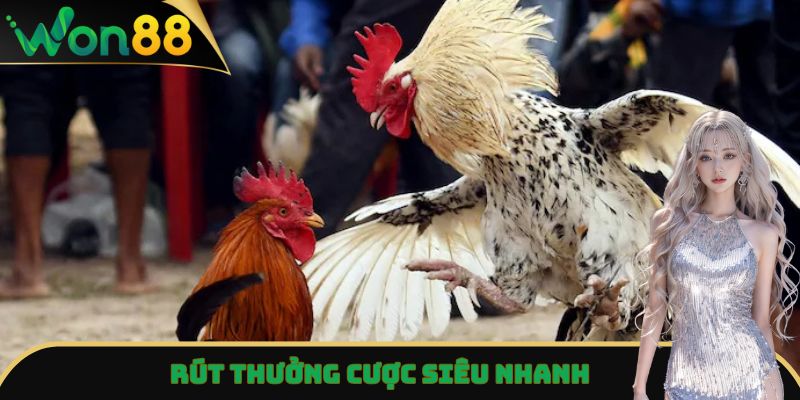Đá Gà Won88 - Trải Nghiệm Trận Đấu Đỉnh Cao, Kịch Tính Nhất 4 Rút thưởng cược siêu nhanh