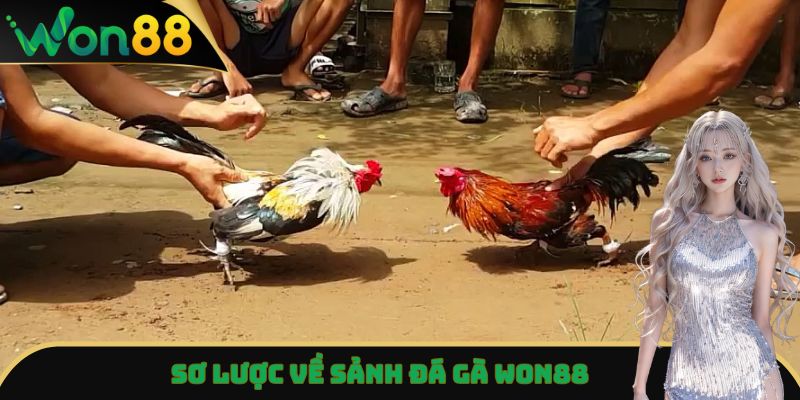 Đá Gà Won88 - Trải Nghiệm Trận Đấu Đỉnh Cao, Kịch Tính Nhất 2 Sơ lược về sảnh đá gà Won88