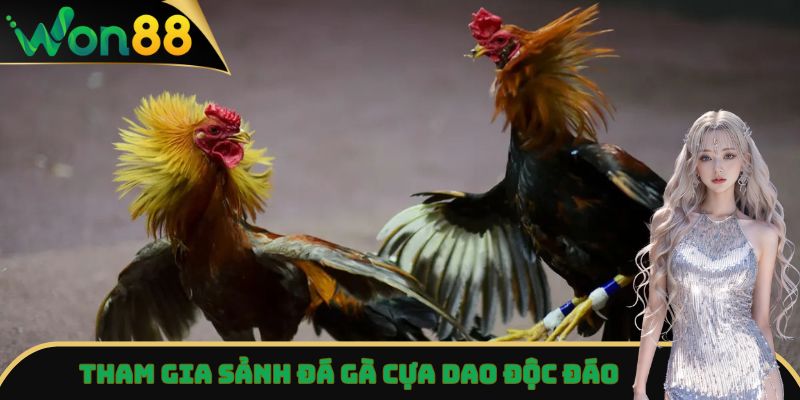Đá Gà Won88 - Trải Nghiệm Trận Đấu Đỉnh Cao, Kịch Tính Nhất 3 Tham gia sảnh đá gà cựa dao độc đáo